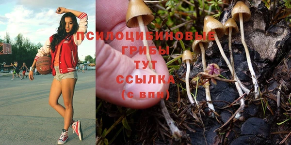 МДПВ Алексеевка