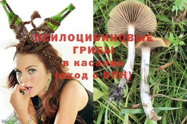 МДПВ Алексеевка