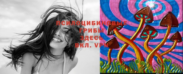 МДПВ Алексеевка