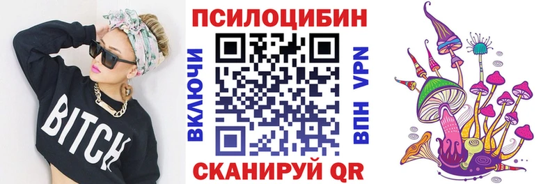 Галлюциногенные грибы Psilocybine cubensis Берёзовский