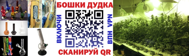 МАРИХУАНА сатива  Берёзовский 